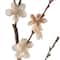 Peach Blossom Stem by Ashland®
